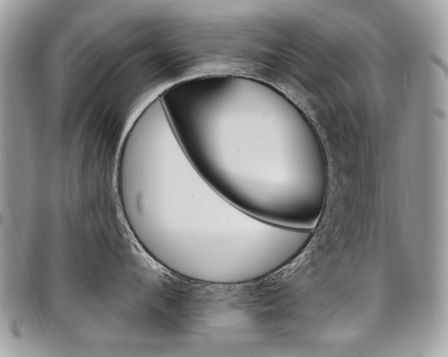X0000097970912200803241016