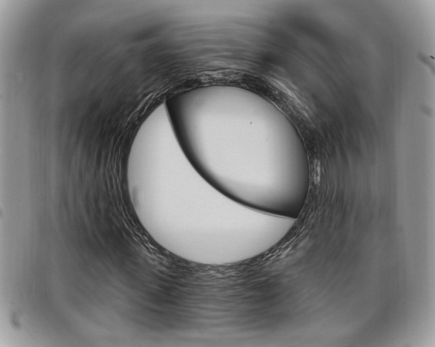 X0000097970915200803241016