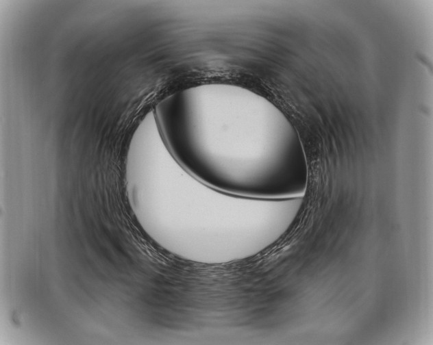 X0000097970916200803241016