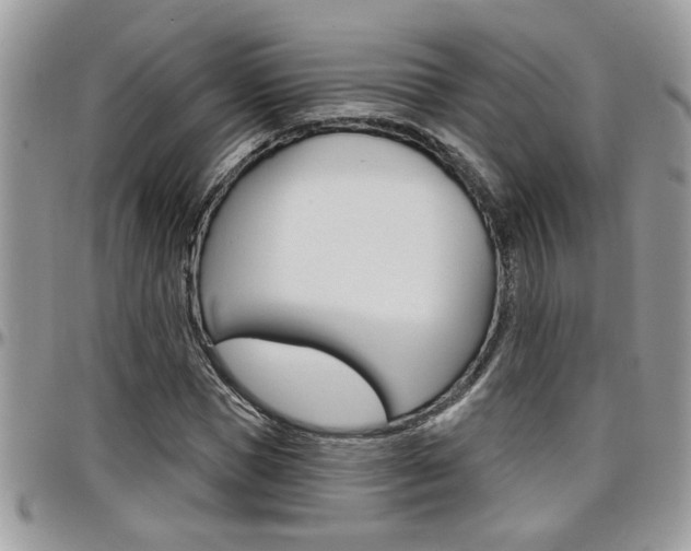 X0000097970921200803241016