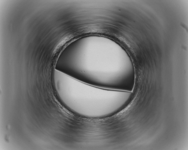 X0000097970922200803241016