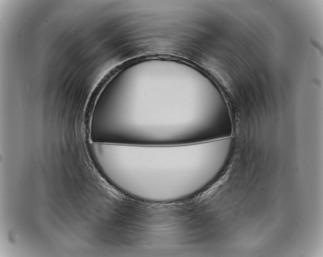 X0000097970924200803241016