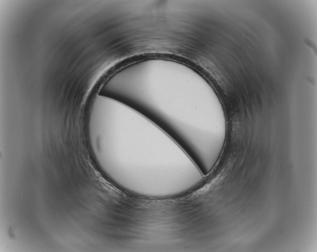X0000097970926200803241016