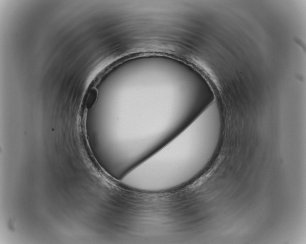 X0000097970928200803241016