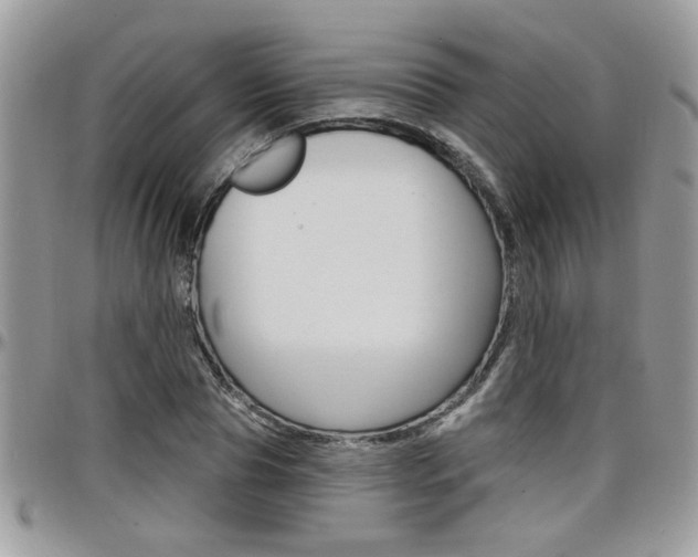 X0000097970929200803241016