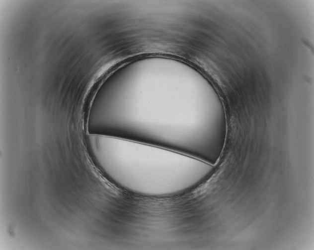 X0000097970931200803241016