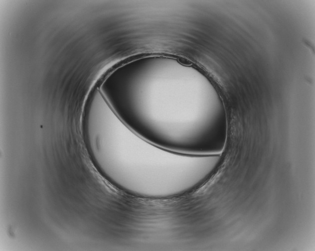 X0000097970932200803241016