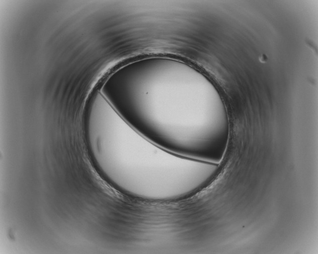 X0000097970934200803241016