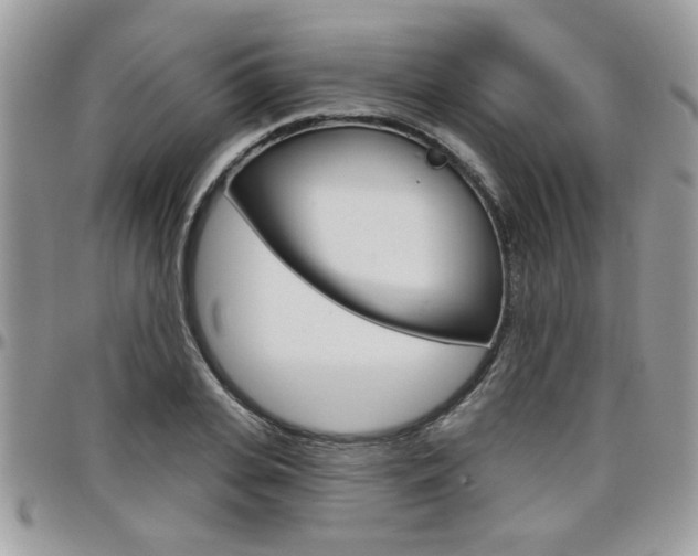 X0000097970935200803241016