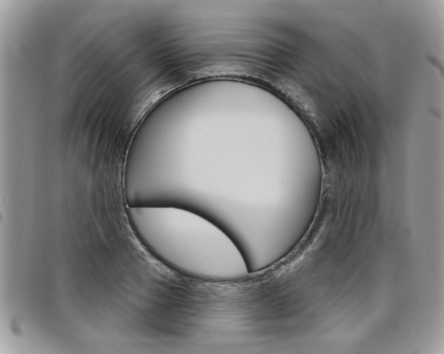 X0000097970937200803241016