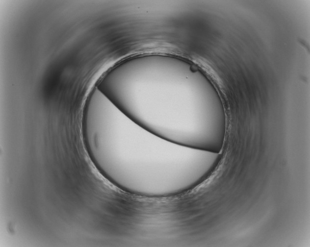 X0000097970941200803241016