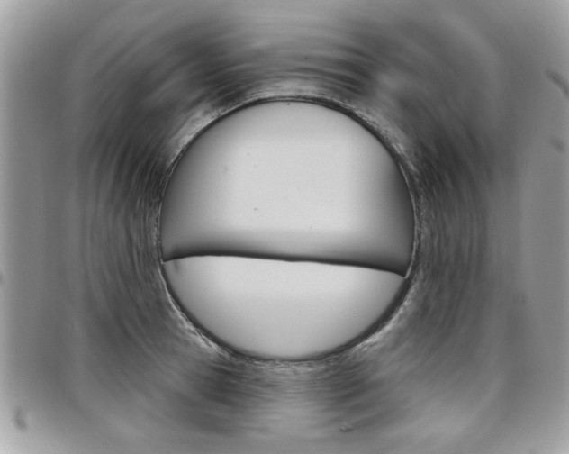 X0000097970945200803241016