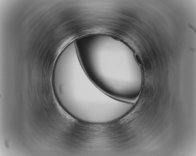 X0000097970946200803241016