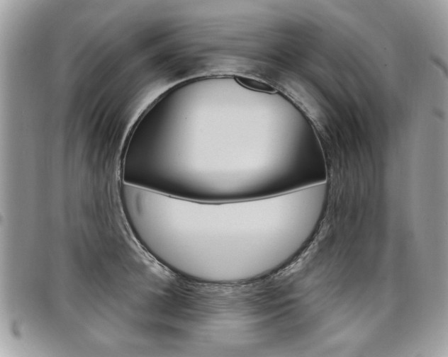 X0000097970948200803241016