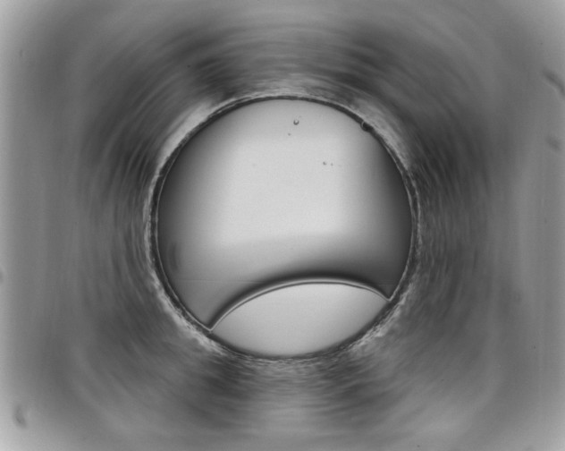 X0000097970949200803241016
