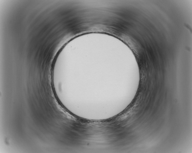 X0000097970950200803241016