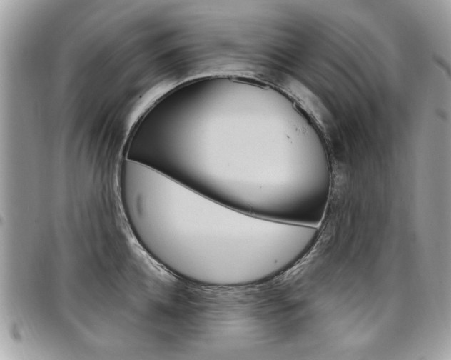 X0000097970952200803241016