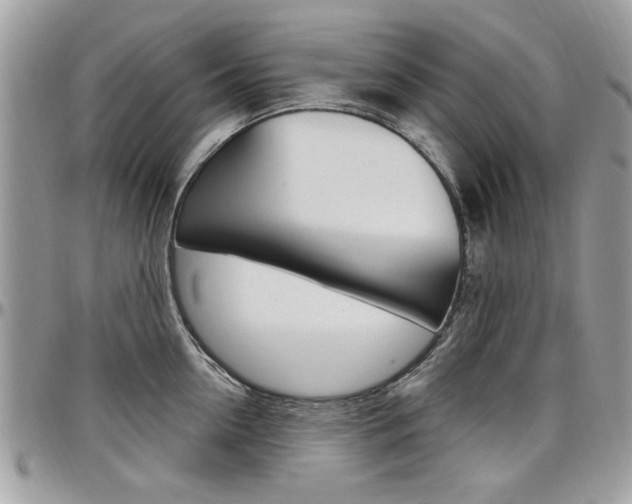 X0000097970954200803241016