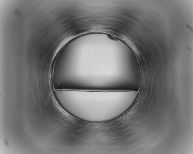 X0000097970955200803241016