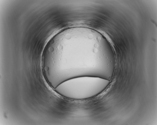 X0000097970957200803241016
