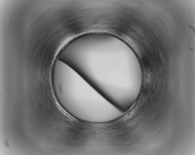 X0000097970958200803241016