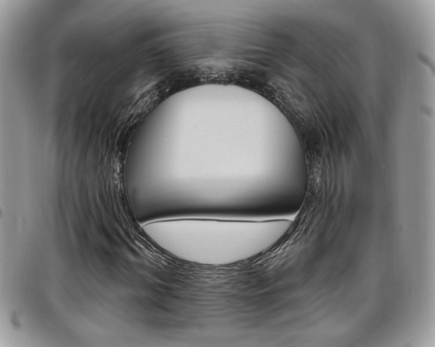X0000097970964200803241016