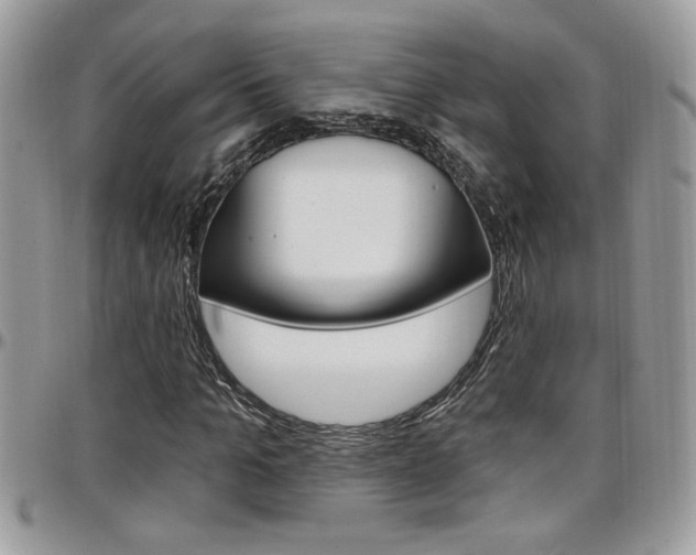 X0000097970965200803241016