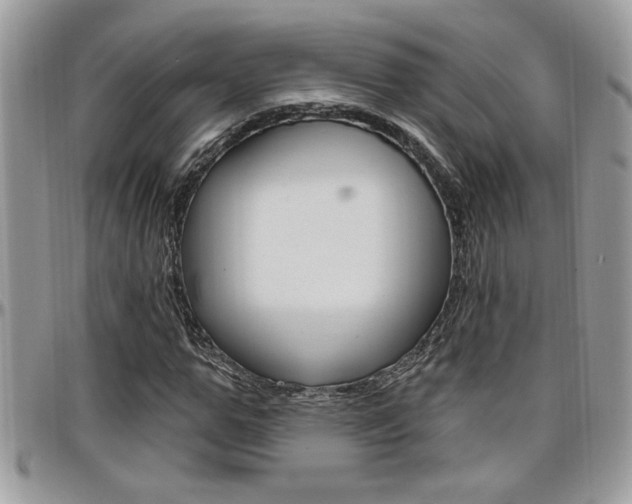 X0000097970967200803241016
