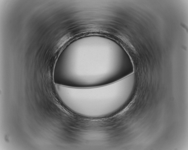 X0000097970969200803241016