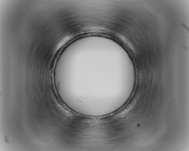 X0000097970970200803241016