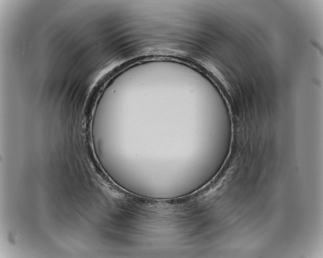 X0000097970971200803241016