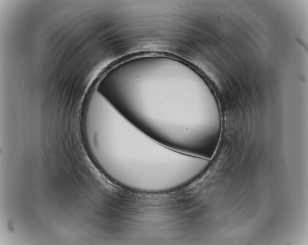 X0000097970972200803241016