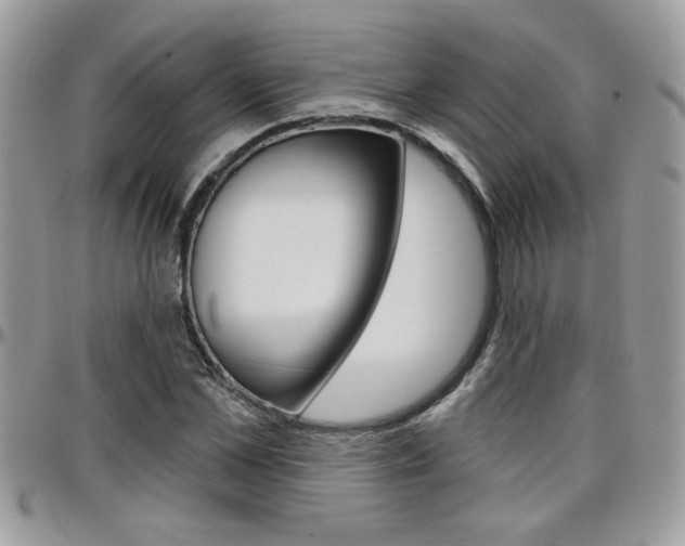 X0000097970973200803241016