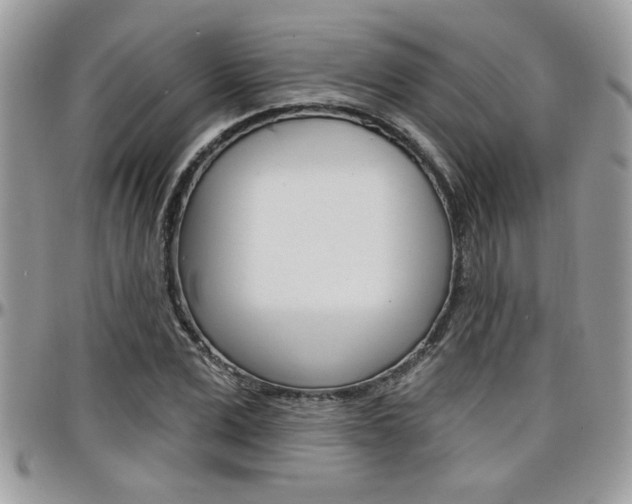 X0000097970975200803241016