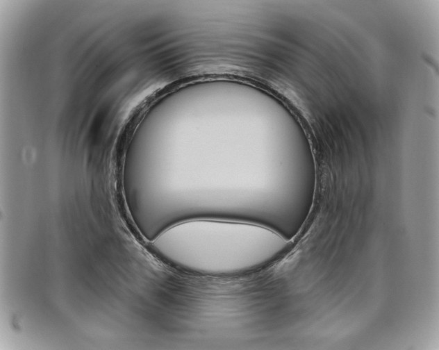 X0000097970979200803241016
