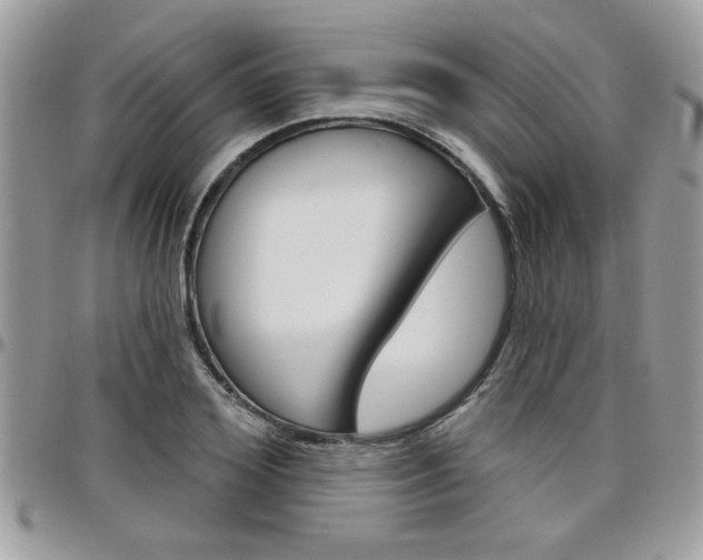 X0000097970980200803241015