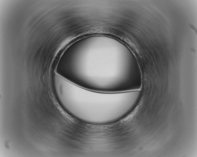 X0000097970981200803241015