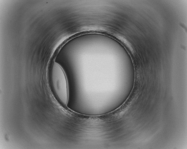 X0000097970983200803241015
