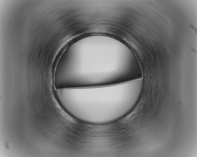 X0000097970984200803241015