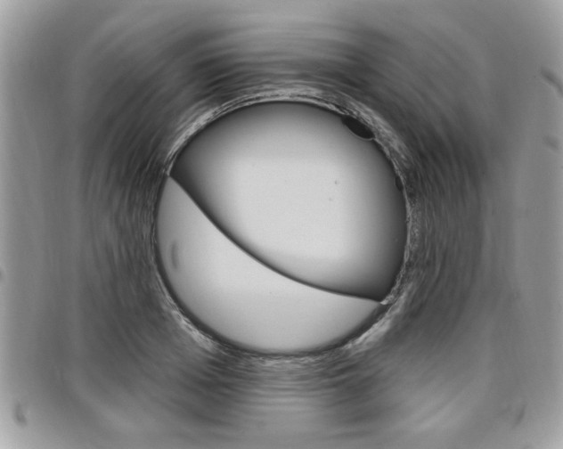 X0000097970985200803241015
