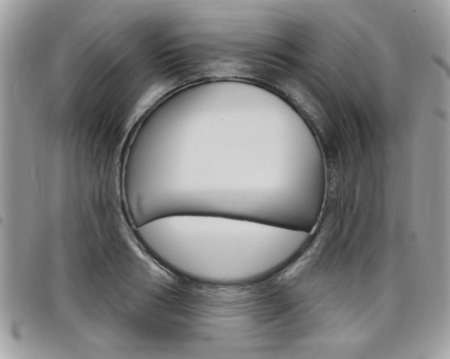 X0000097970986200803241015