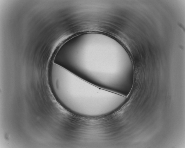 X0000097970987200803241015