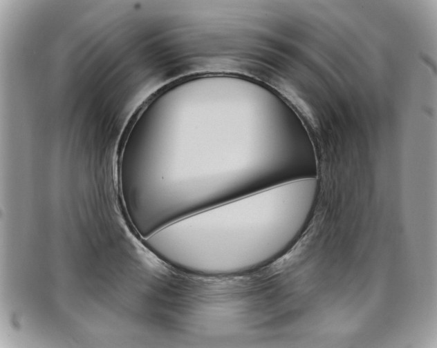 X0000097970988200803241015