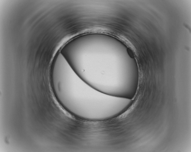 X0000097970989200803241015