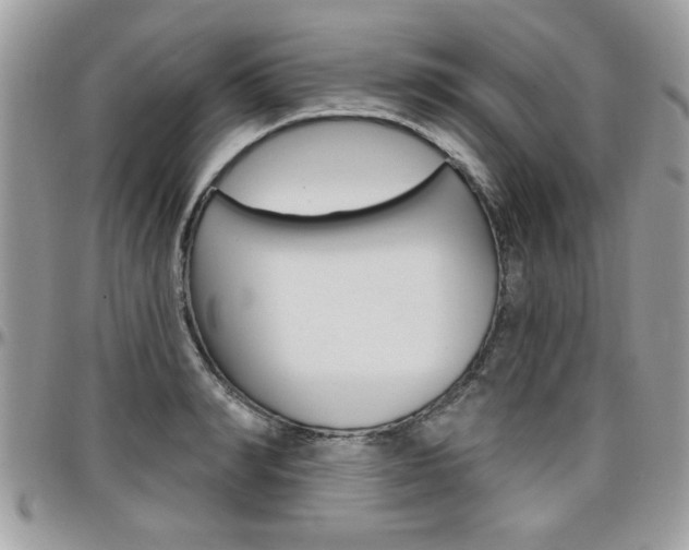 X0000097970990200803241015