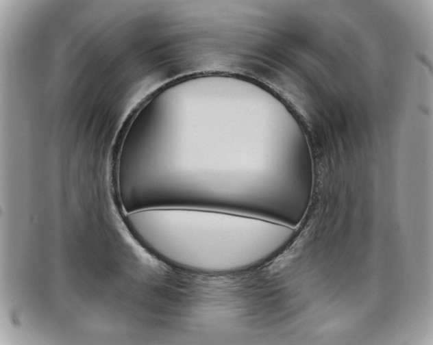 X0000097970991200803241015