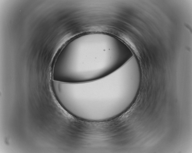 X0000097970992200803241015