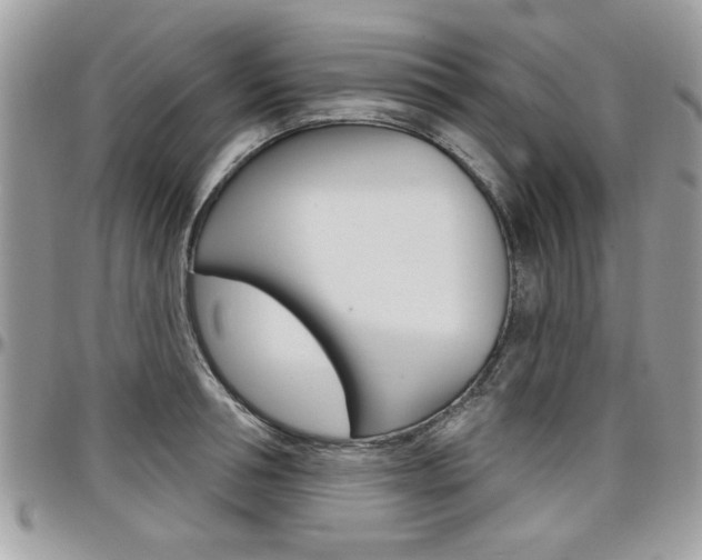 X0000097970994200803241015