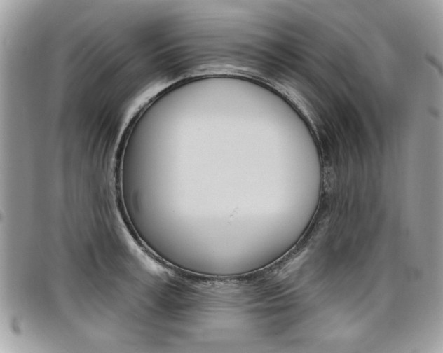 X0000097970995200803241015