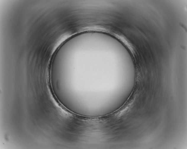 X0000097970999200803241015